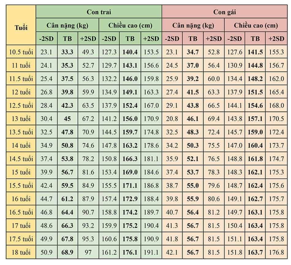 Bảng BMI cho trẻ từ 11 đến 18 tuổi