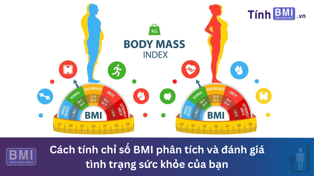 Cách tính chỉ số BMI phân tích và đánh giá tình trạng sức khỏe của bạn