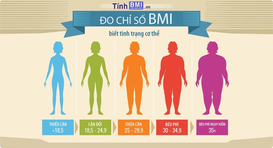 Bảng phân tích chỉ số BMI Việt Nam theo WHO