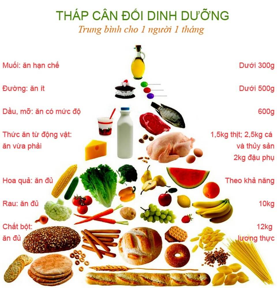 Tháp cân đối dinh dưỡng trung bình cho 1 người 1 tháng