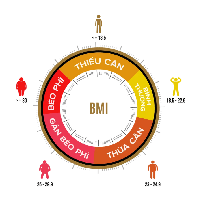 Kết quả đo chỉ số BMI theo dõi tình trạng sức khỏe