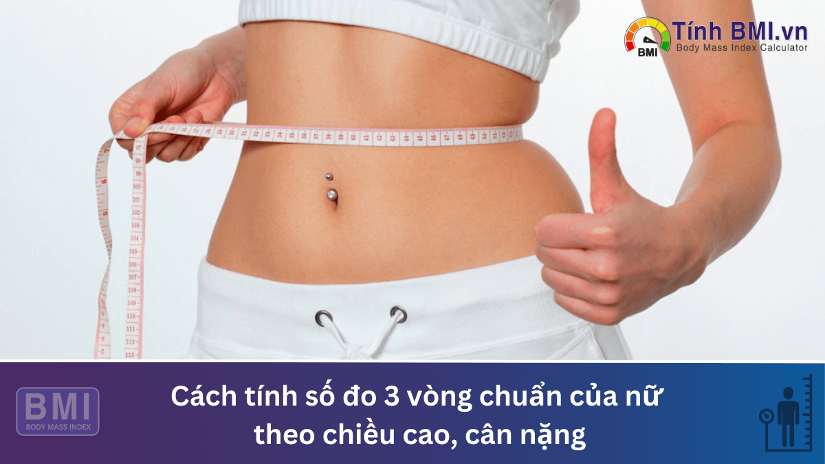 Cách tính số đo 3 vòng chuẩn của nữ theo chiều cao, cân nặng