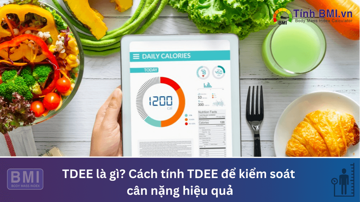 TDEE là gì? Cách tính TDEE để kiểm soát cân nặng hiệu quả