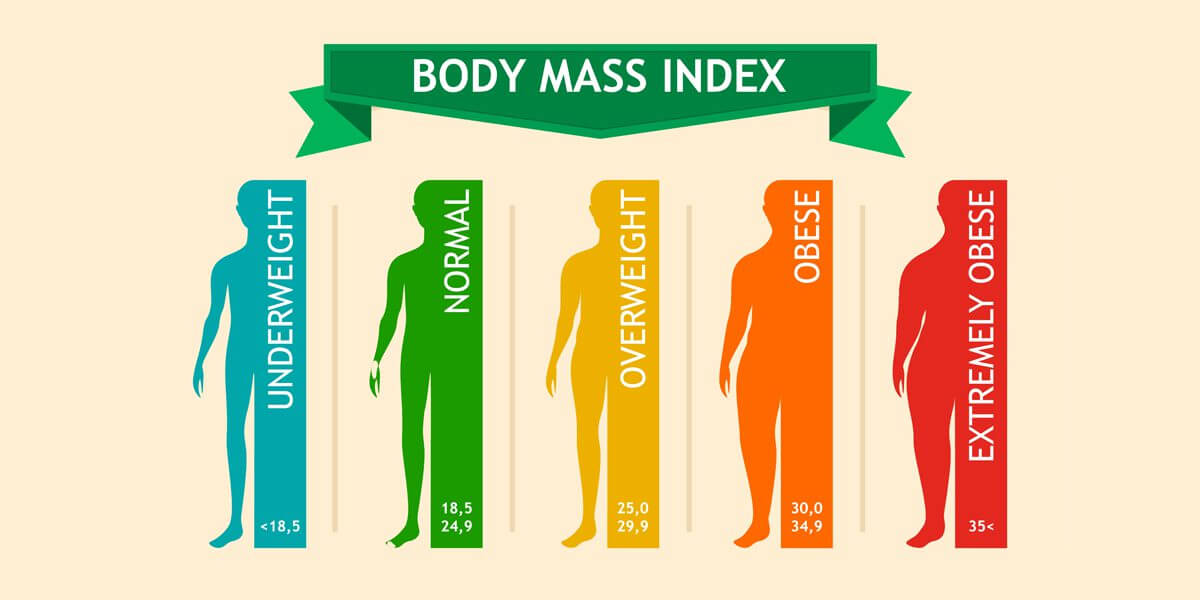 Kết quả đo chỉ số BMi theo dõi tình trạng cơ thể