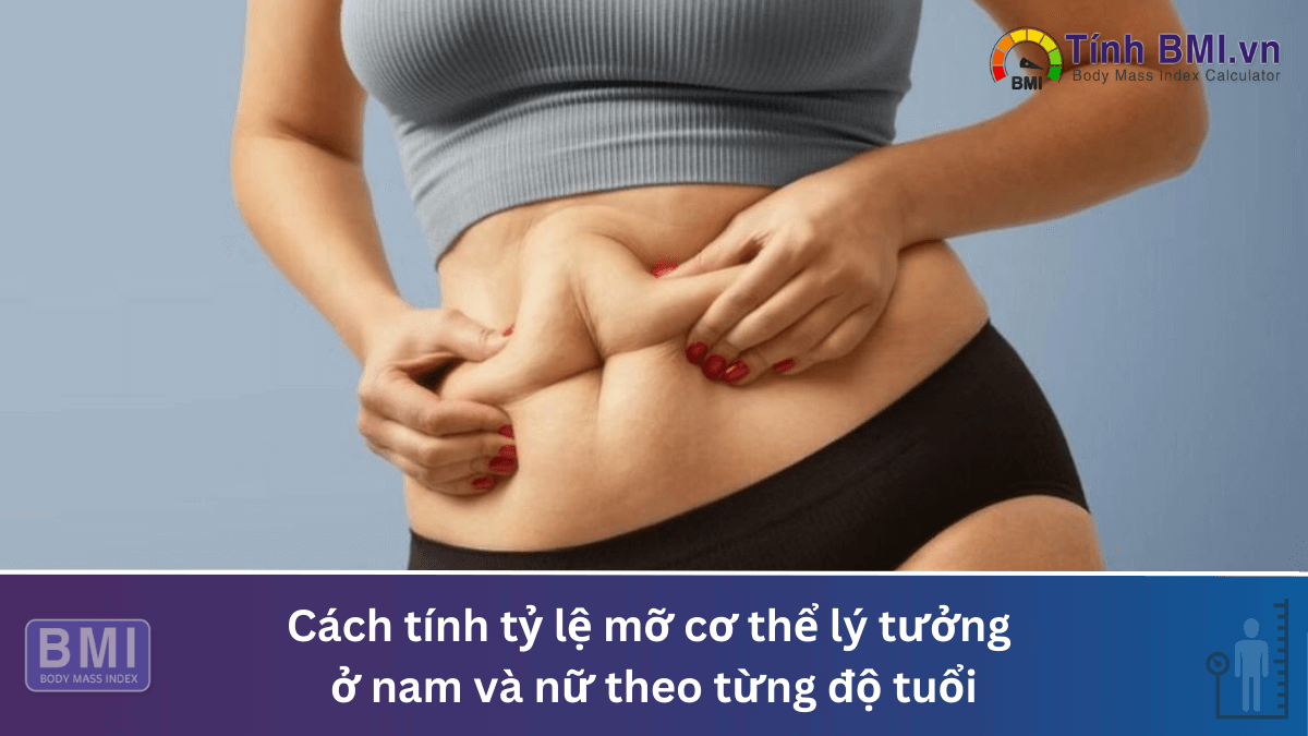 Cách tính tỷ lệ mỡ cơ thể lý tưởng ở nam và nữ theo từng độ tuổi