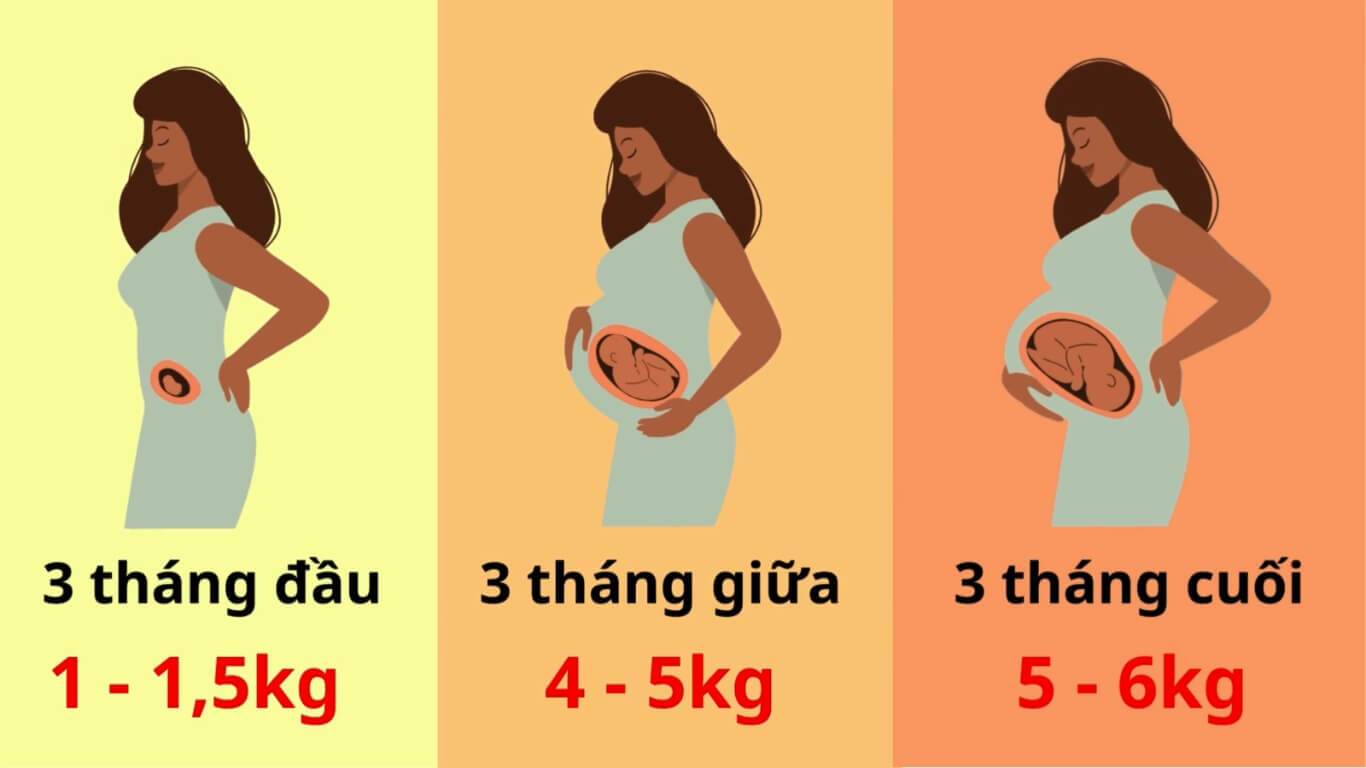 Tầm quan trọng của việc theo dõi cân nặng trong thai kỳ