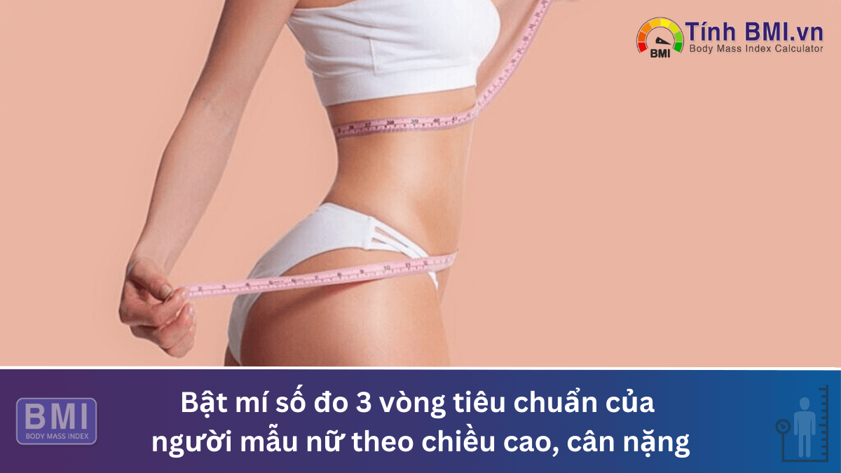 Bật mí số đo 3 vòng tiêu chuẩn của người mẫu nữ theo chiều cao, cân nặng