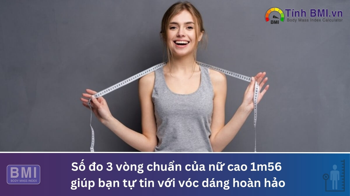 Số đo 3 vòng chuẩn của nữ cao 1m56