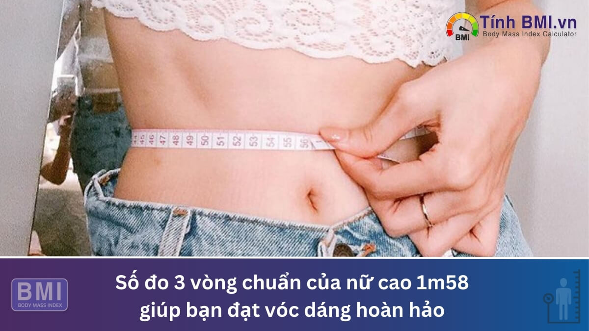 Số đo 3 vòng chuẩn của nữ cao 1m58