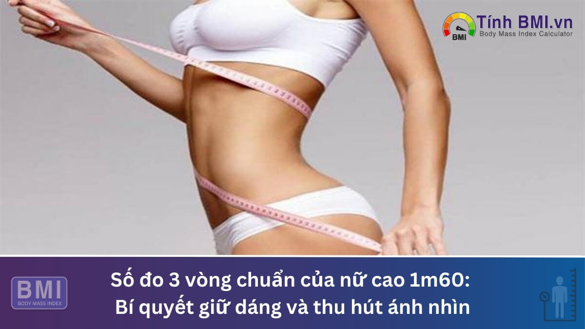 Số đo 3 vòng chuẩn của nữ cao 1m60