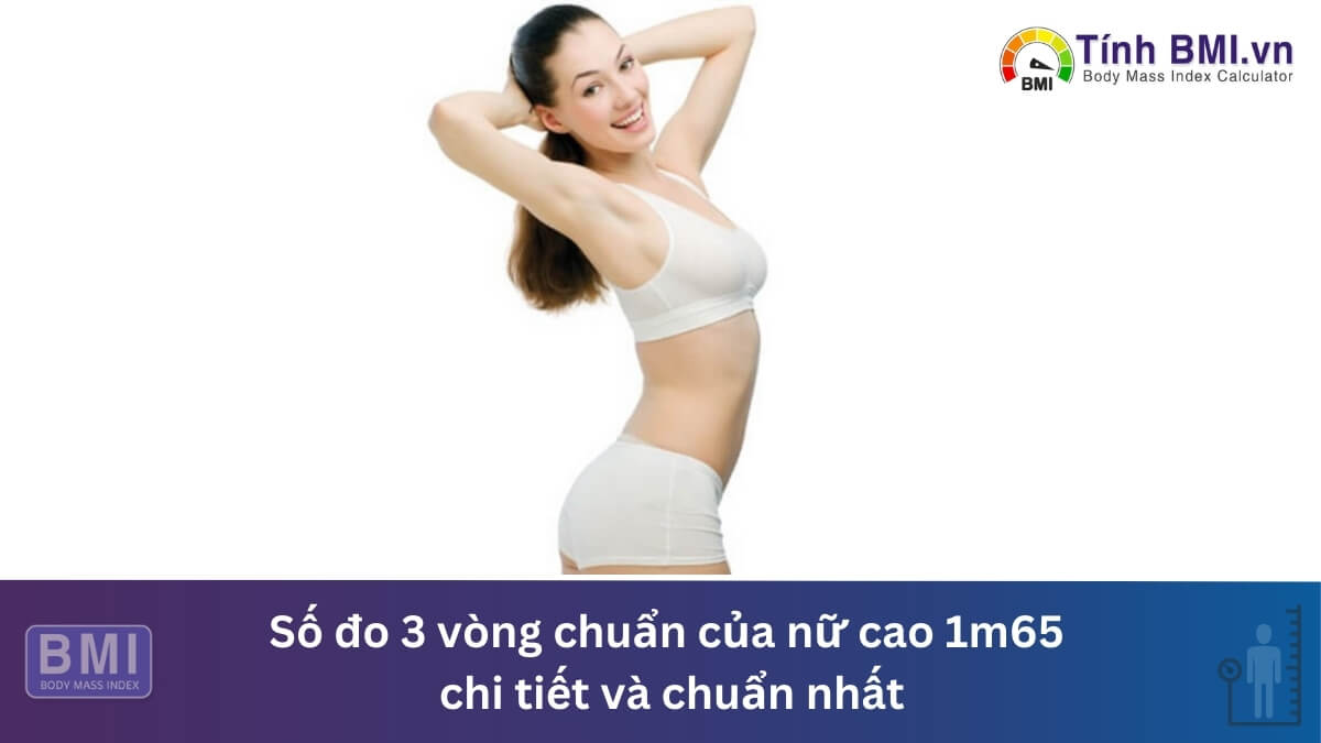 Số đo 3 vòng chuẩn của nữ cao 1m65