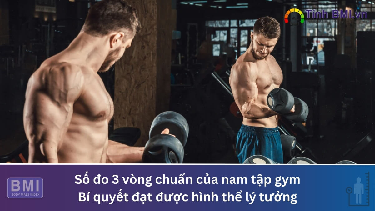 Số đo 3 vòng chuẩn của nam tập gym: Bí quyết đạt được hình thể lý tưởng