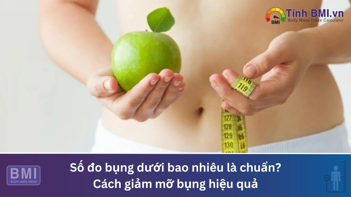 Số đo bụng dưới bao nhiêu là chuẩn? Cách giảm mỡ bụng hiệu quả