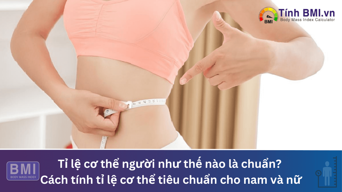 Tỉ lệ cơ thể người như thế nào là chuẩn? Cách tính tỷ lệ cơ thể tiêu chuẩn cho nam và nữ