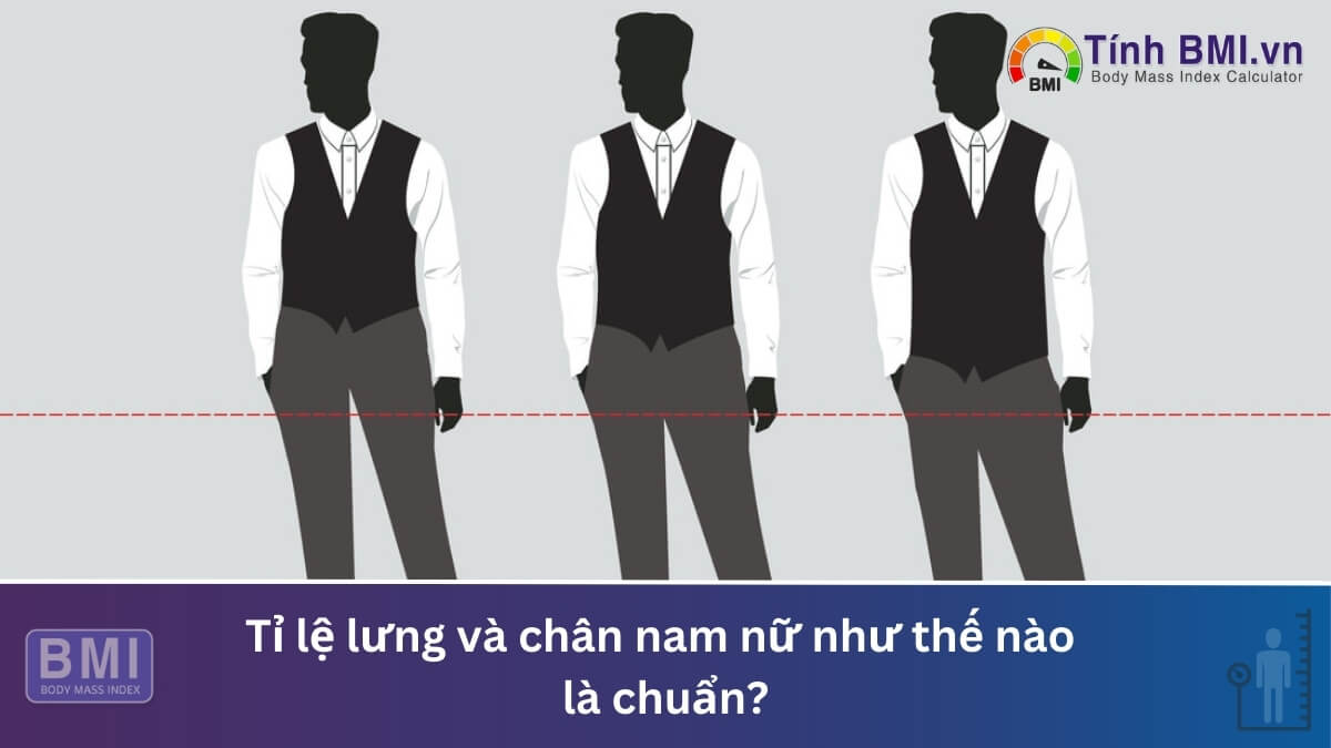 Tỉ lệ lưng và chân nam nữ như thế nào là chuẩn?