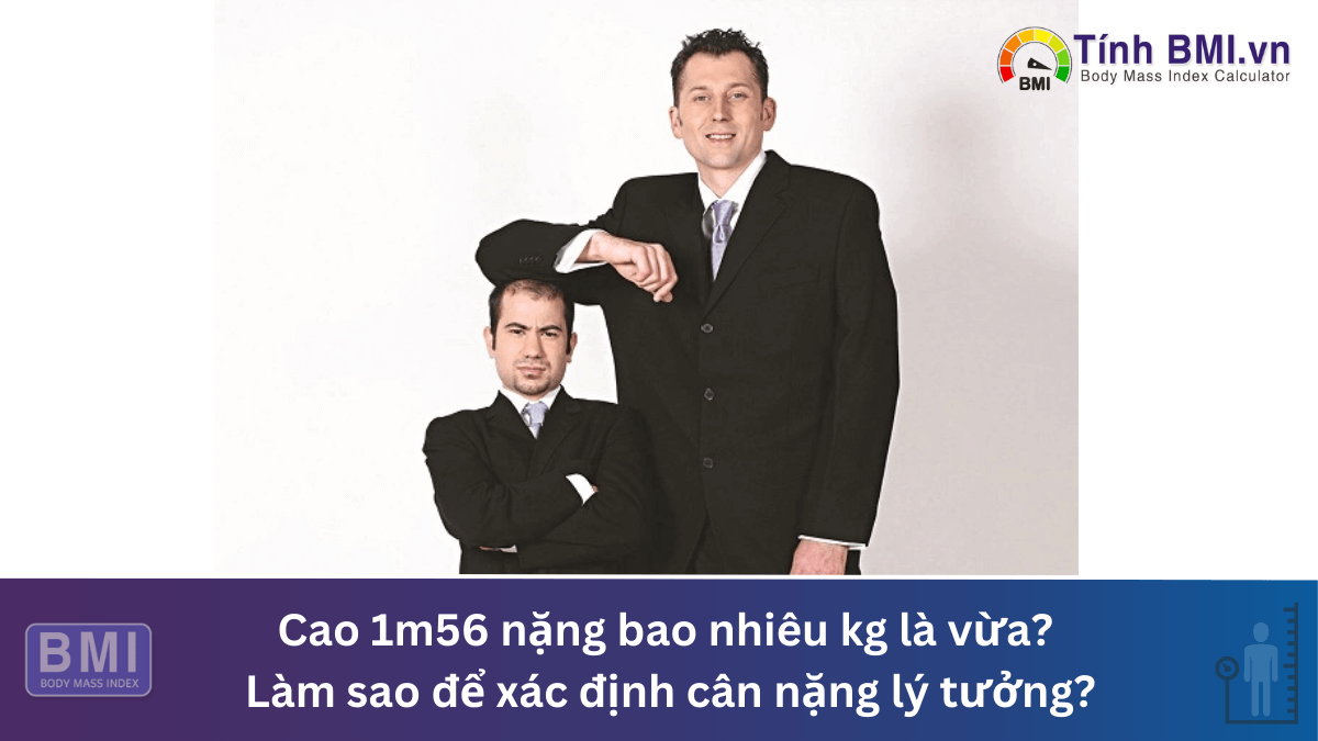 Cao 1m56 nặng bao nhiêu kg là vừa