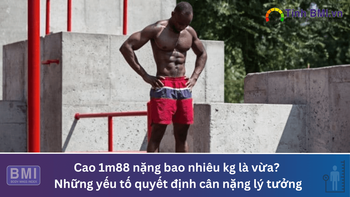 Cao 1m88 nặng bao nhiêu kg là vừa