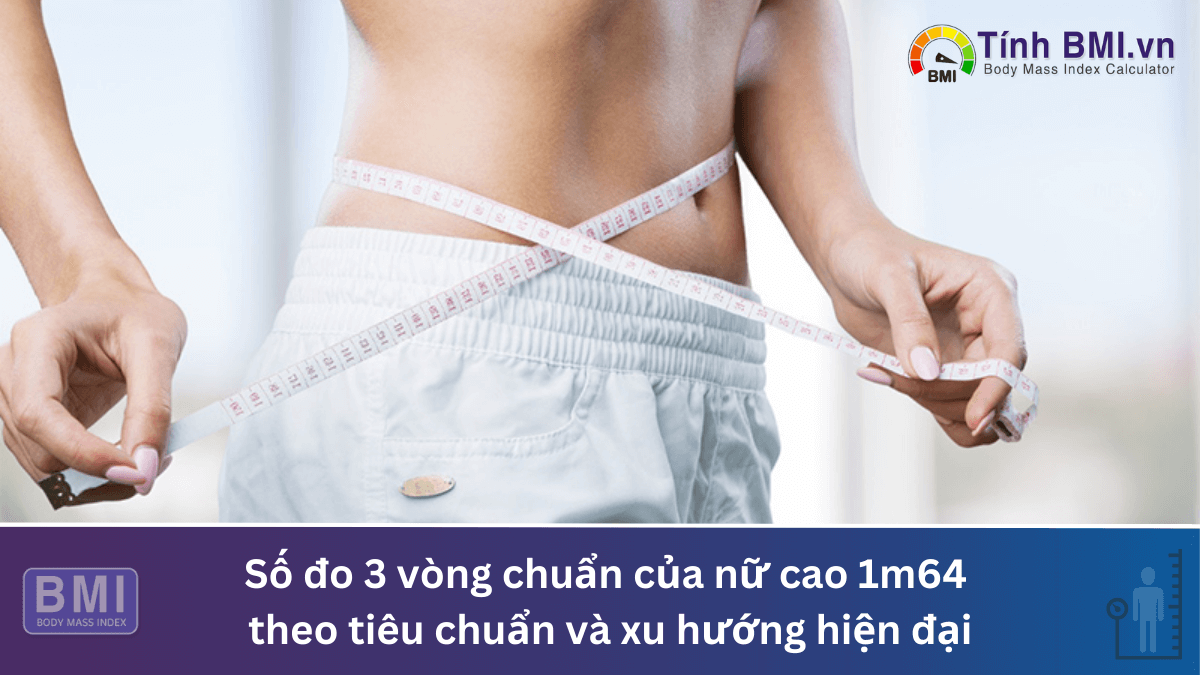 Số đo 3 vòng chuẩn của nữ cao 1m64