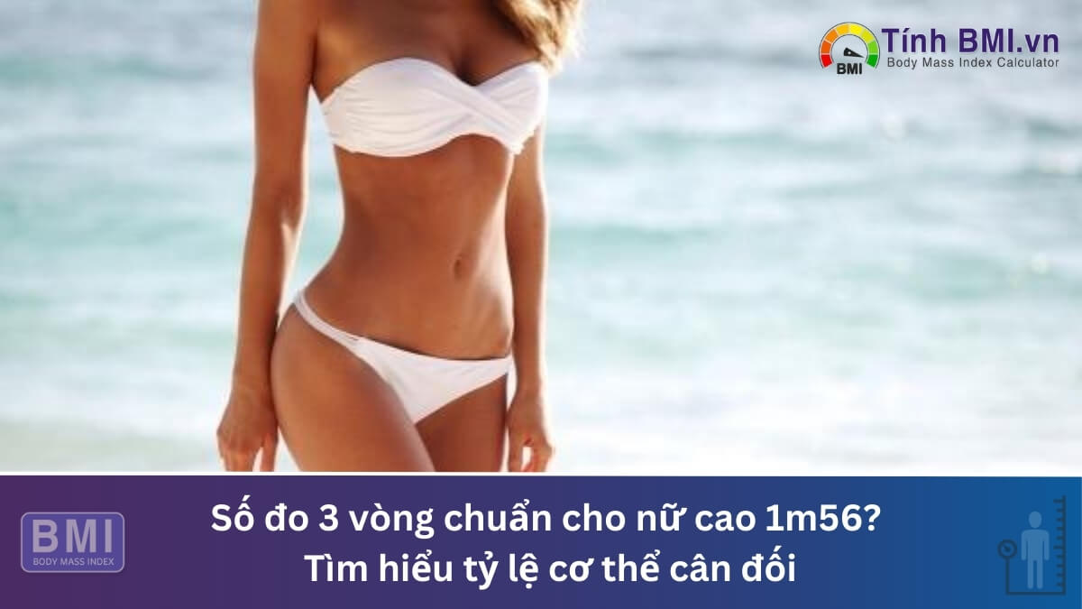 Số đo 3 vòng chuẩn cho nữ cao 1m56