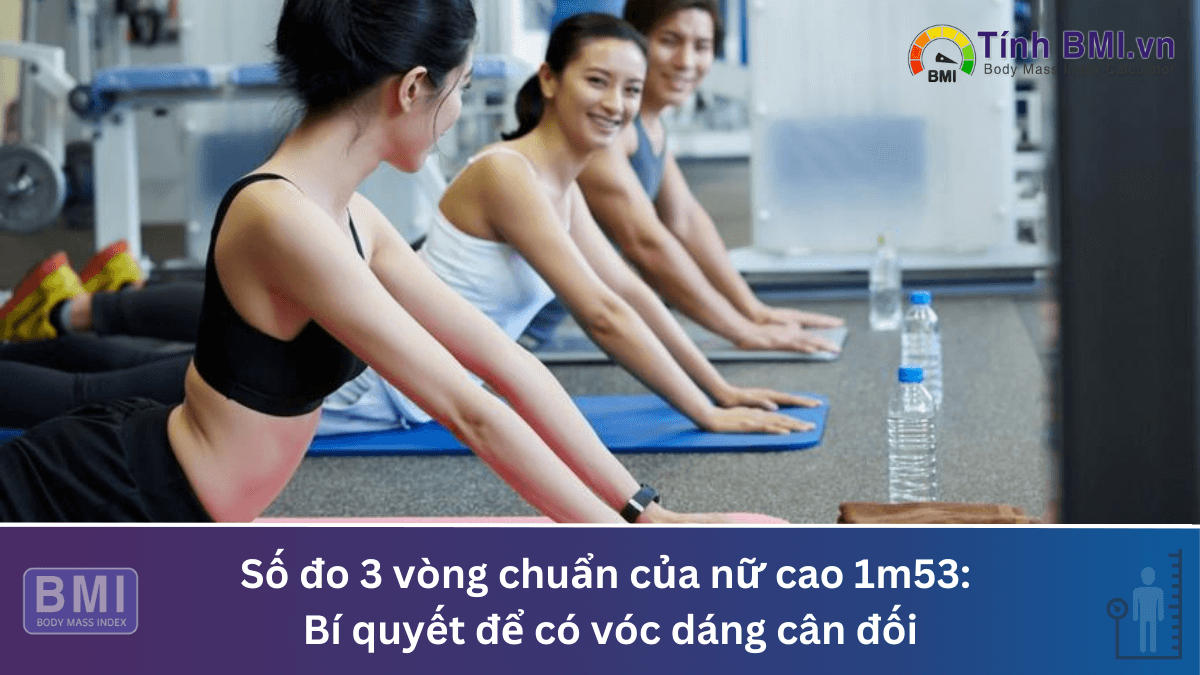 Số đo 3 vòng chuẩn của nữ cao 1m53