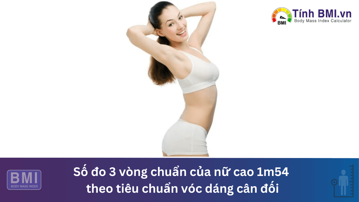 Số đo 3 vòng chuẩn của nữ cao 1m54